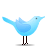 twitter_standing