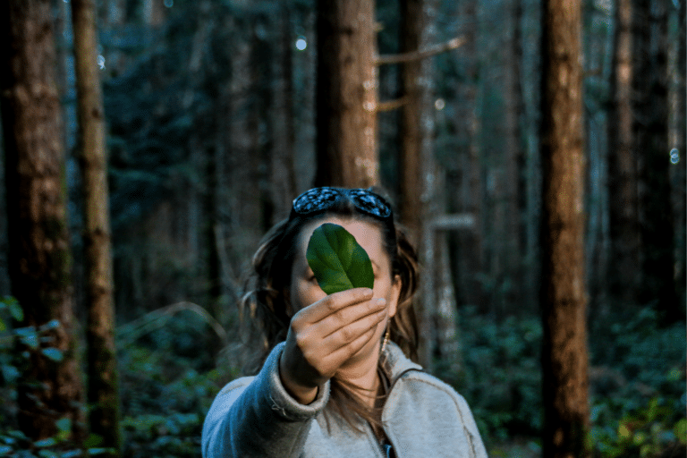 What is a regenerative company