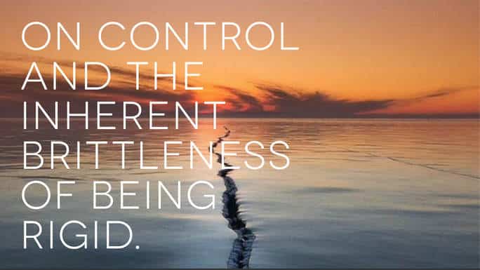 Control-and-the-Inherent-Brittleness-of-Being-Rigid_EMAIL