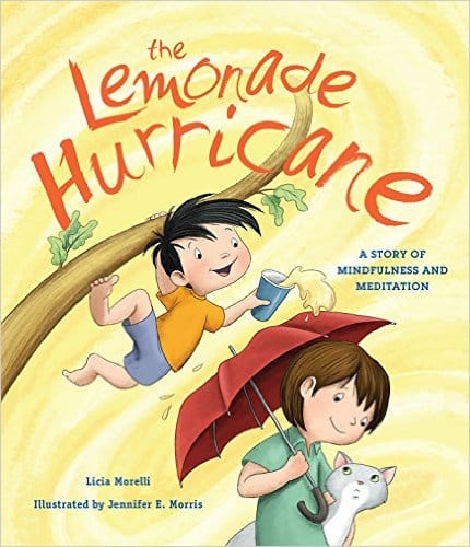 Lemonade Hurricane Cover