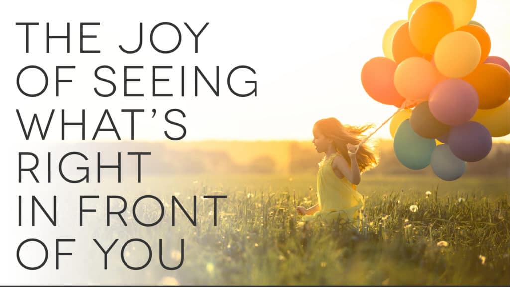 the-joy-of-seeing_whats_right_infront_of_you_email