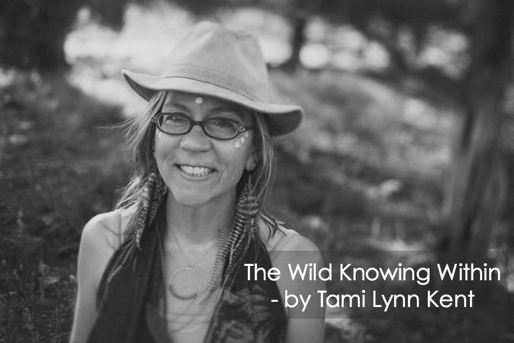 Tami Kent Blog Title