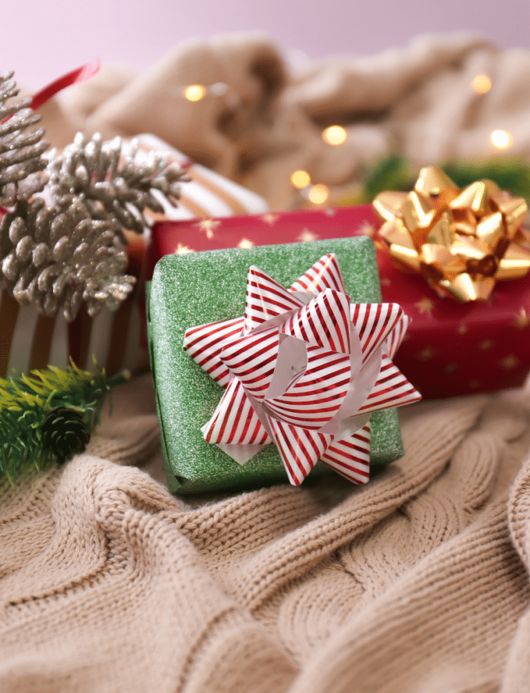 Holiday gift guide