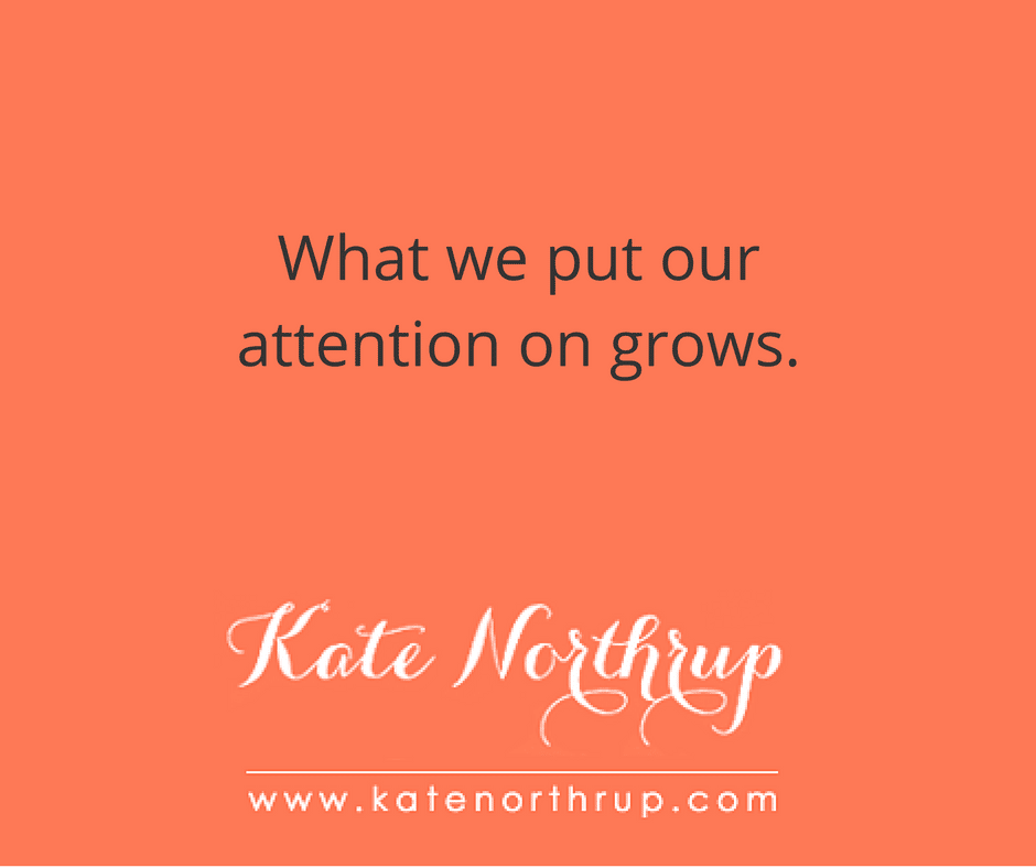 What we put our attention on grows-tweet